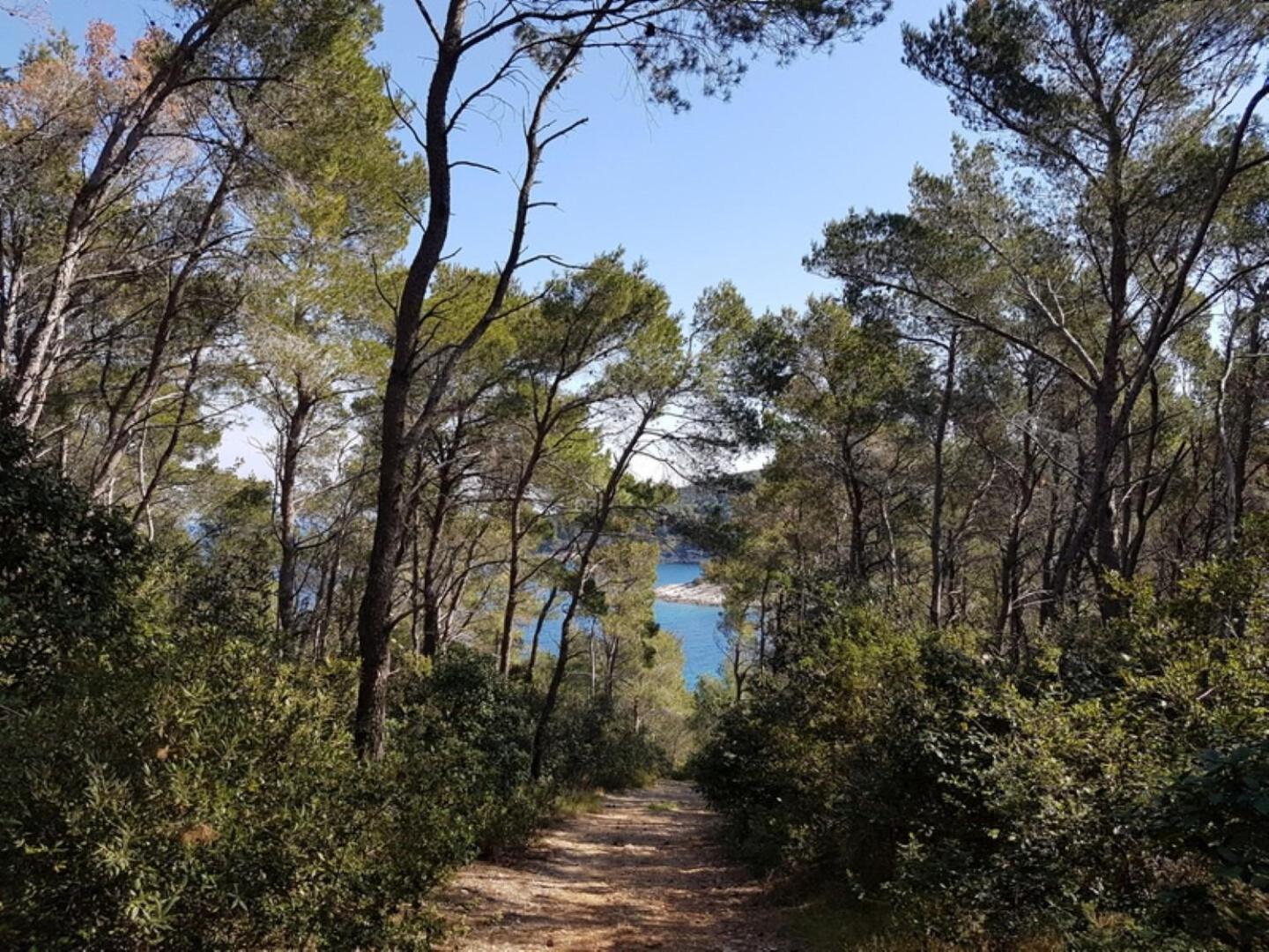 House Villa Bistrana Vela Luka Zewnętrze zdjęcie